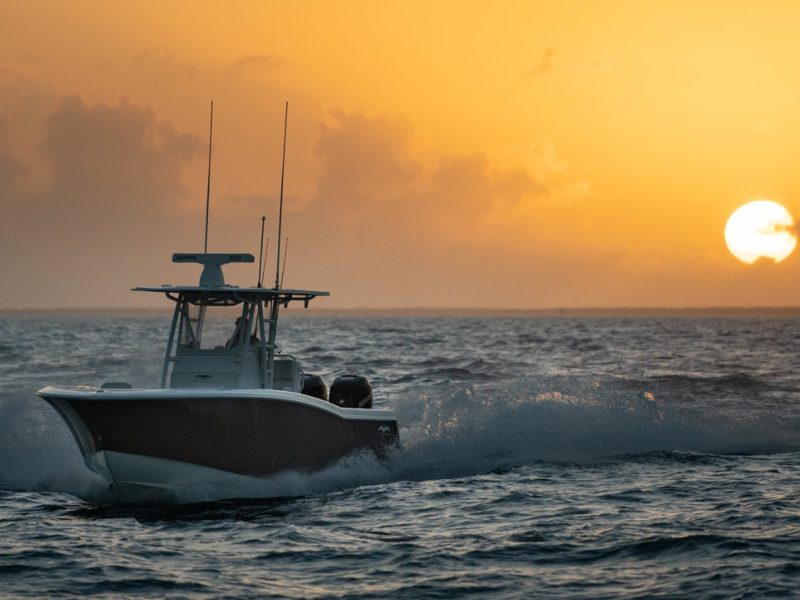 catamarans balearic islands