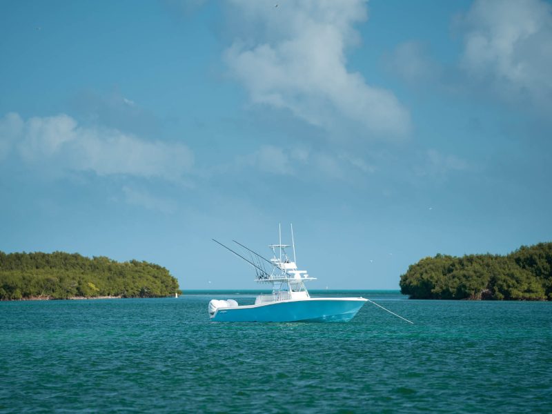 catamarans balearic islands