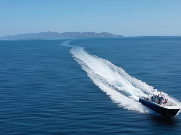 Custom Power Catamarans Europe Suppliers
