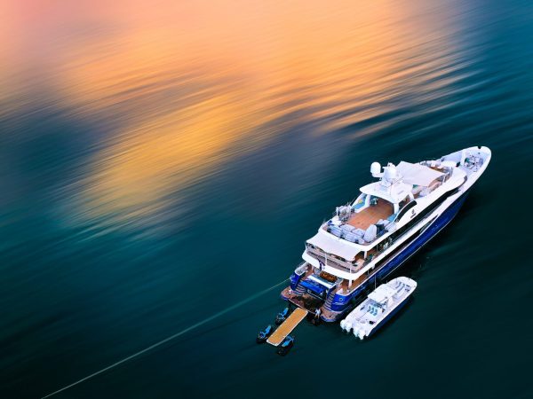 Luxury Power Catamaran Dealer