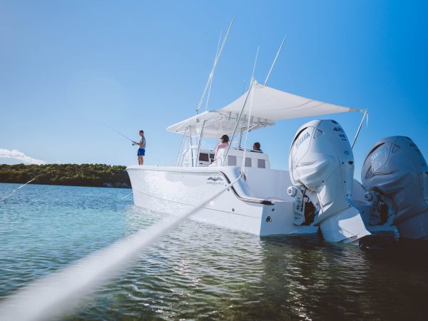 Catamarans for sale Italy